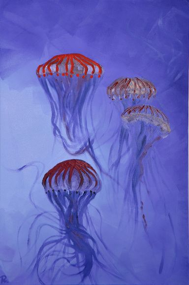 A smack of jellyfish drifting in the current