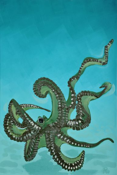 Octopus